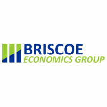 Briscoe Economics Group